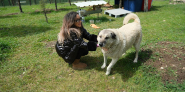 96b895da-e18d-4d7a-8864-6f353247a1a5